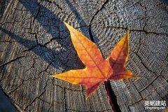 岳麓區(qū)建網(wǎng)站聯(lián)系電話(huà)